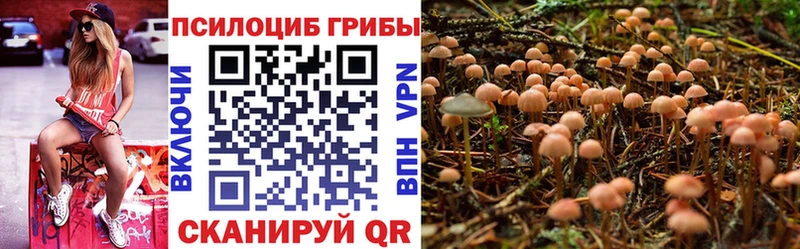 Галлюциногенные грибы прущие грибы  Купить закладки  Новозыбков 